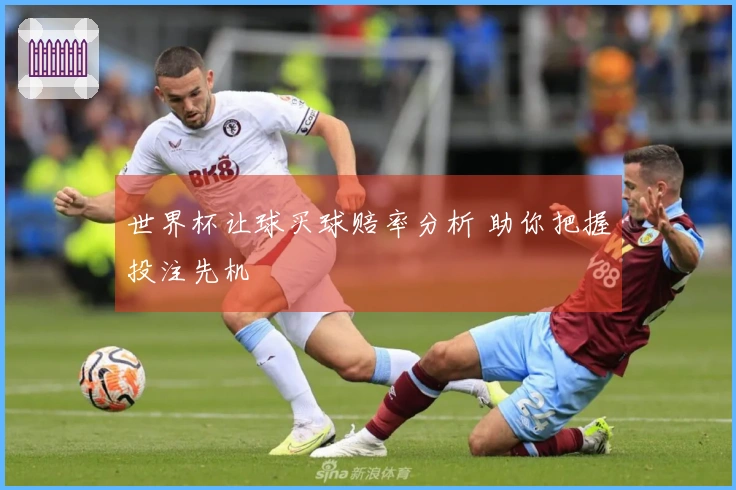 世界杯让球买球赔率分析 助你把握投注先机