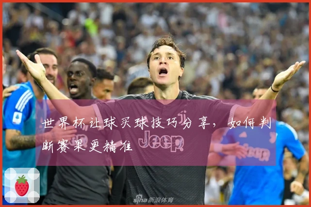 世界杯让球买球技巧分享，如何判断赛果更精准