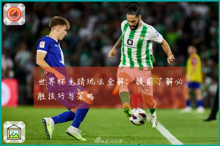 世界杯竞猜玩法全解：提前了解必胜技巧与策略