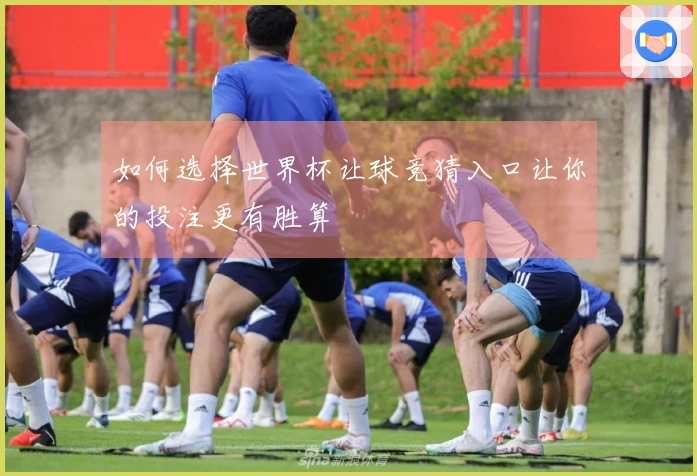 如何选择世界杯让球竞猜入口让你的投注更有胜算