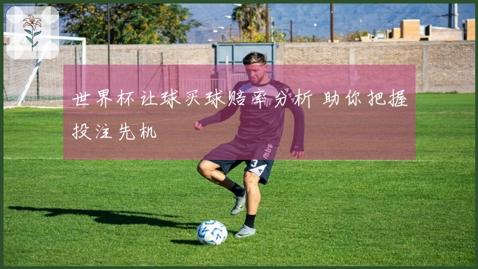 世界杯让球买球赔率分析 助你把握投注先机