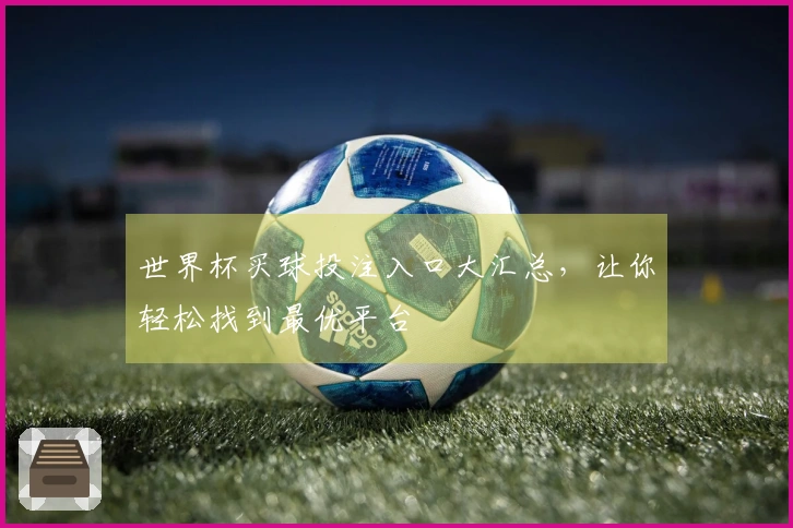 世界杯买球投注入口大汇总，让你轻松找到最优平台