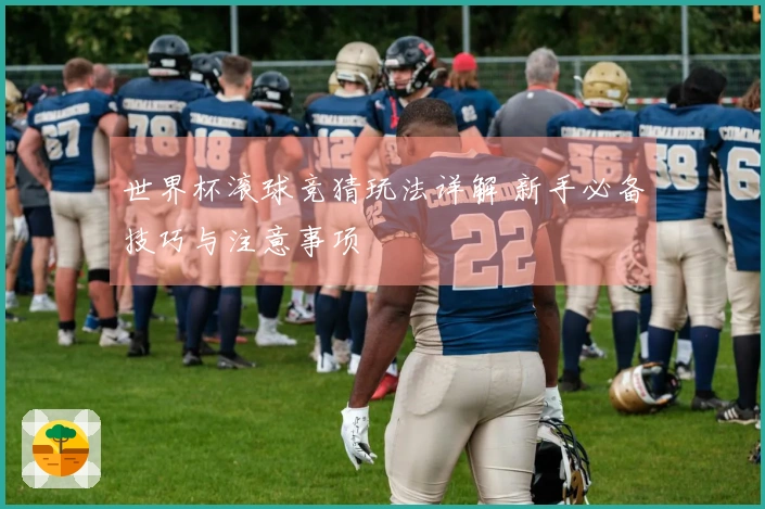 世界杯滚球竞猜玩法详解 新手必备技巧与注意事项
