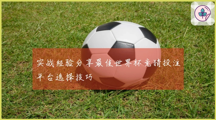 实战经验分享最佳世界杯竞猜投注平台选择技巧