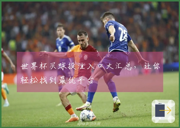 世界杯买球投注入口大汇总，让你轻松找到最优平台