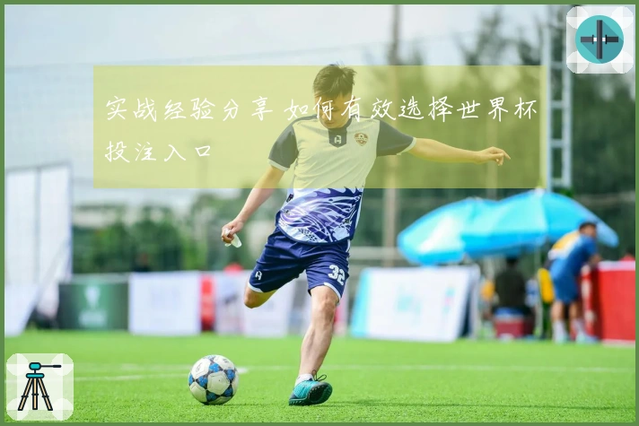 实战经验分享 如何有效选择世界杯投注入口