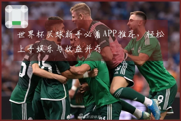 世界杯买球新手必看APP推荐，轻松上手娱乐与收益并存