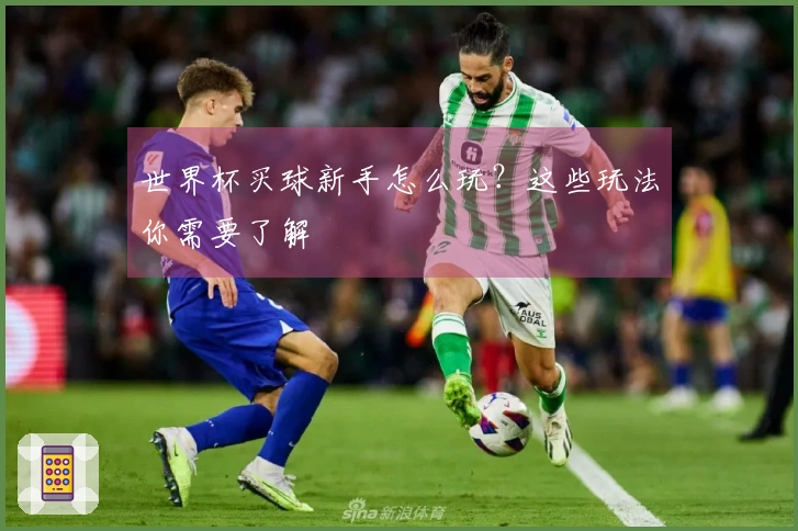 世界杯买球新手怎么玩？这些玩法你需要了解