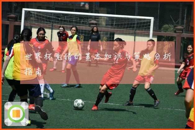 世界杯竞猜的基本知识与策略分析指南