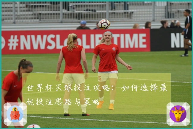 世界杯买球投注攻略：如何选择最优投注思路与策略
