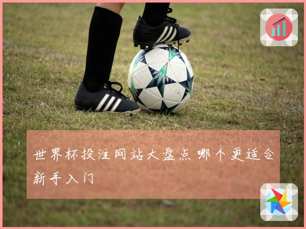世界杯投注网站大盘点 哪个更适合新手入门