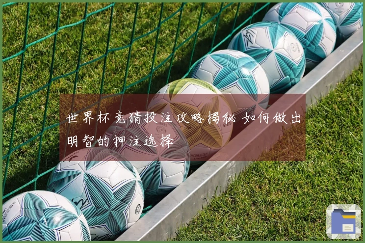 世界杯竞猜投注攻略揭秘 如何做出明智的押注选择