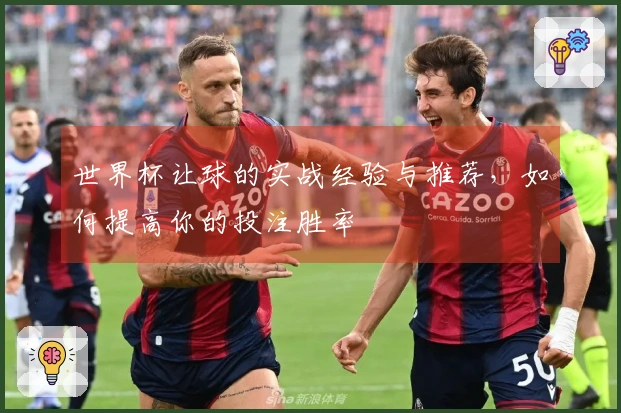 世界杯让球的实战经验与推荐，如何提高你的投注胜率