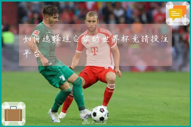 如何选择适合你的世界杯竞猜投注平台